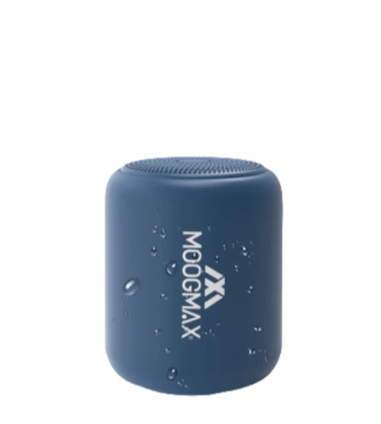 Moog Max mini speaker